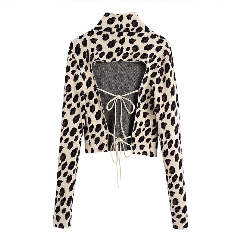 Woman Sweater  Women Autumn New Animal Pattern Jacquard Sweater Winter Long Sleeve Girl Knit Top Women Loose Sweater