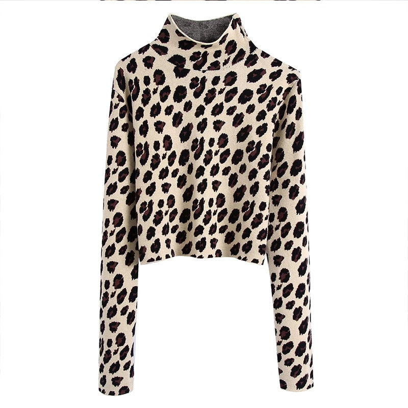 Woman Sweater  Women Autumn New Animal Pattern Jacquard Sweater Winter Long Sleeve Girl Knit Top Women Loose Sweater